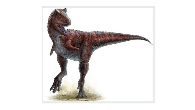 Carnotaurus