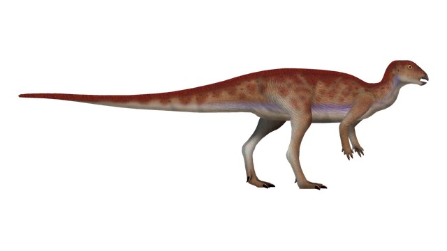 Hypsilophodon