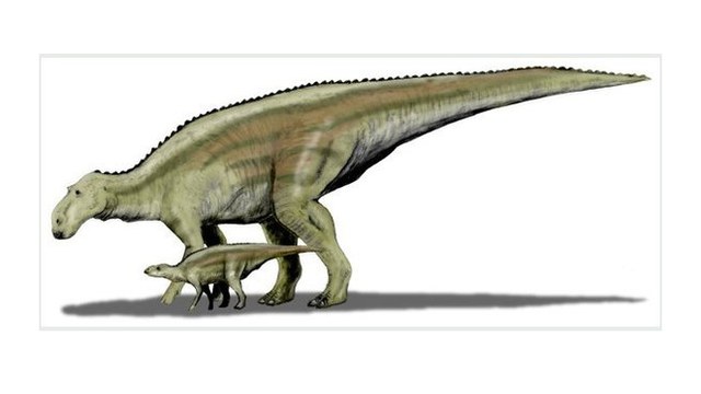 Maiasaura