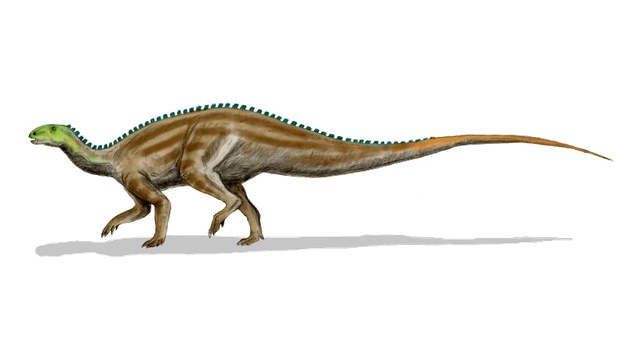 Tenontosaurus